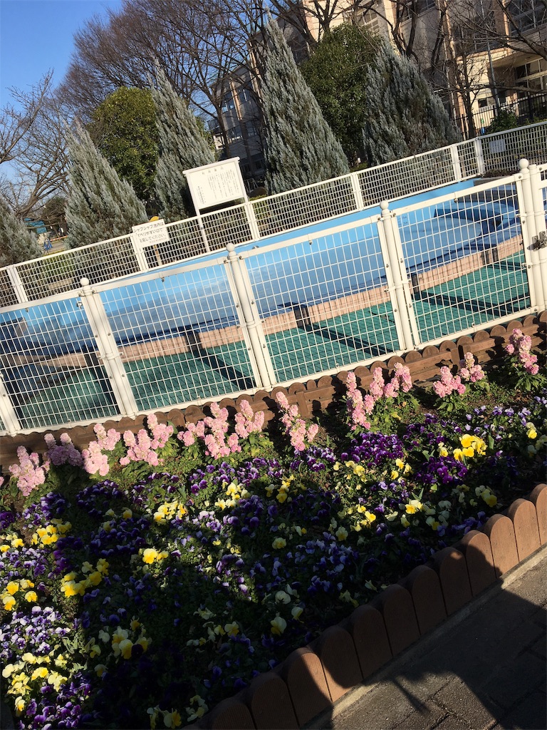 f:id:wpeisuke:20190312235401j:plain