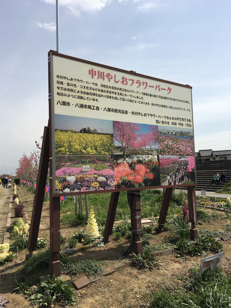 f:id:wpeisuke:20190326231602j:plain