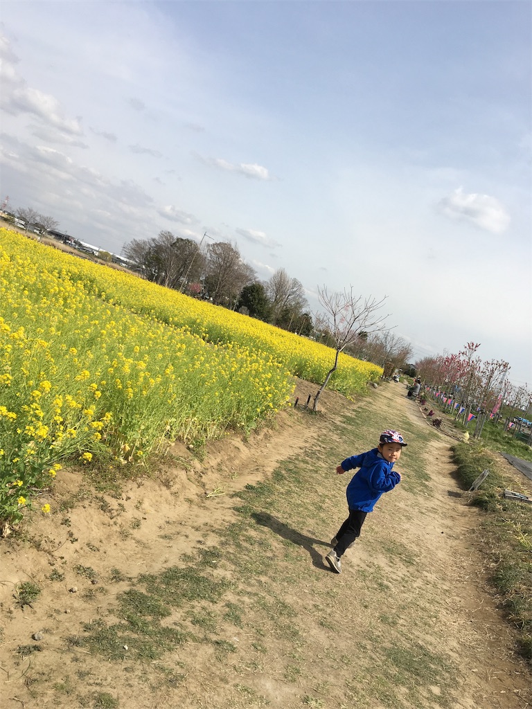 f:id:wpeisuke:20190326231648j:plain