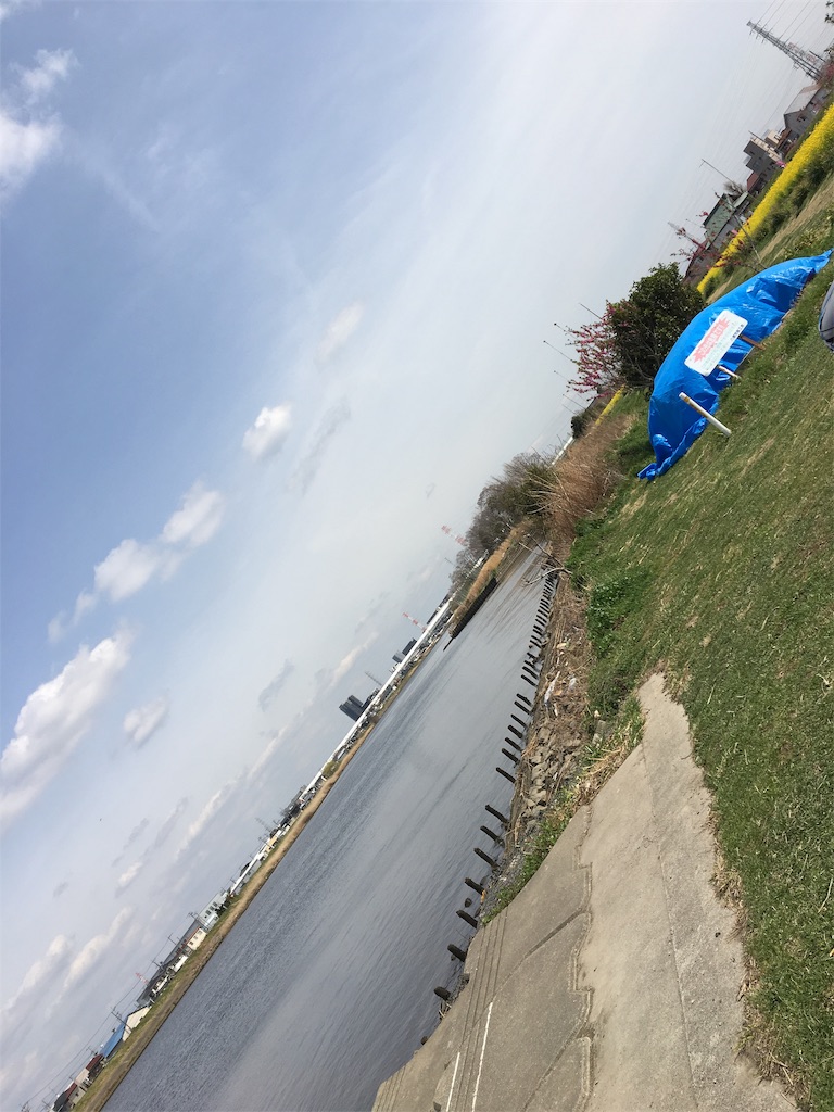 f:id:wpeisuke:20190326231718j:plain
