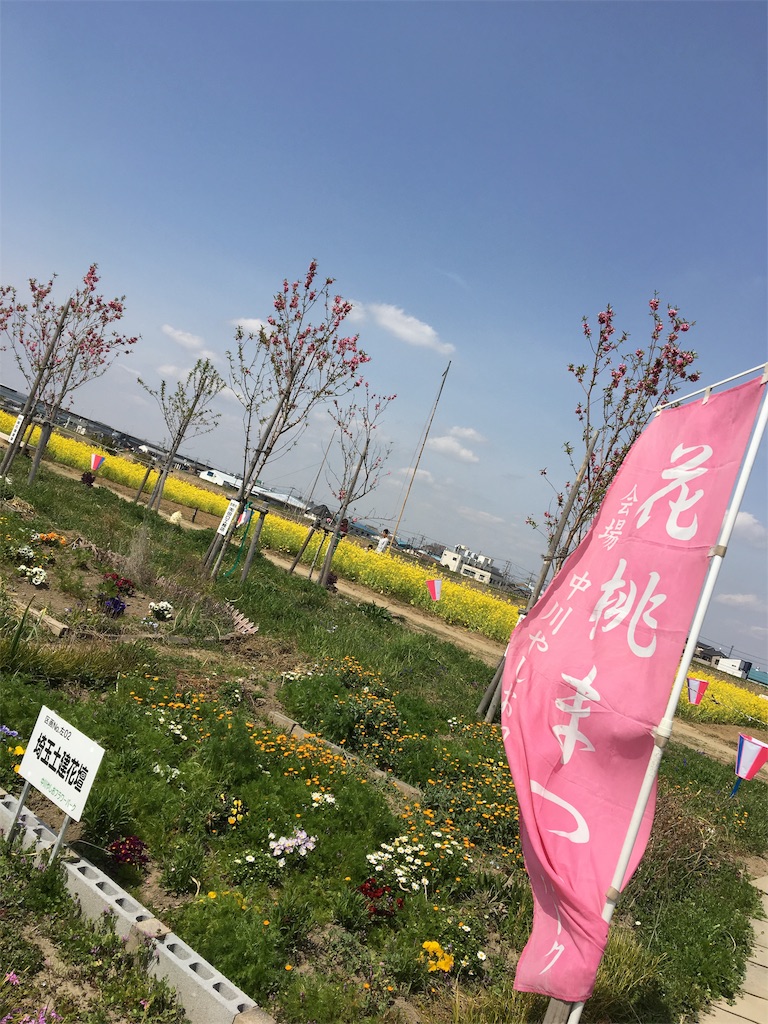f:id:wpeisuke:20190326231745j:plain