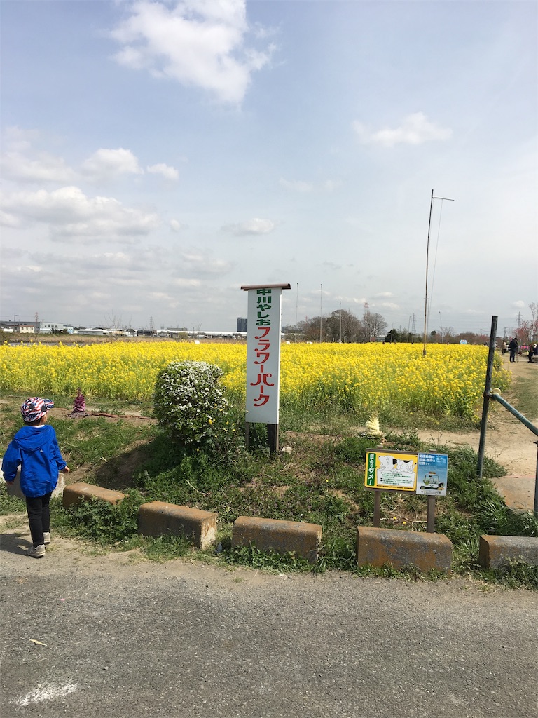 f:id:wpeisuke:20190326231854j:plain