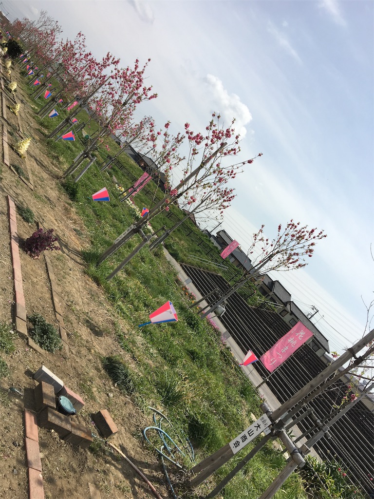 f:id:wpeisuke:20190326231910j:plain