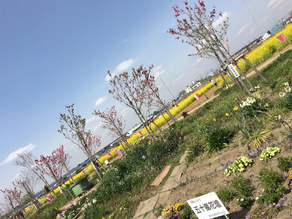 f:id:wpeisuke:20190326231913j:plain