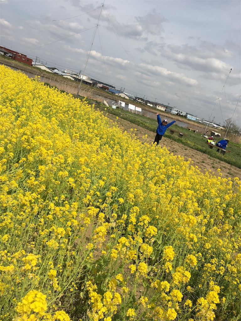 f:id:wpeisuke:20190326231925j:plain