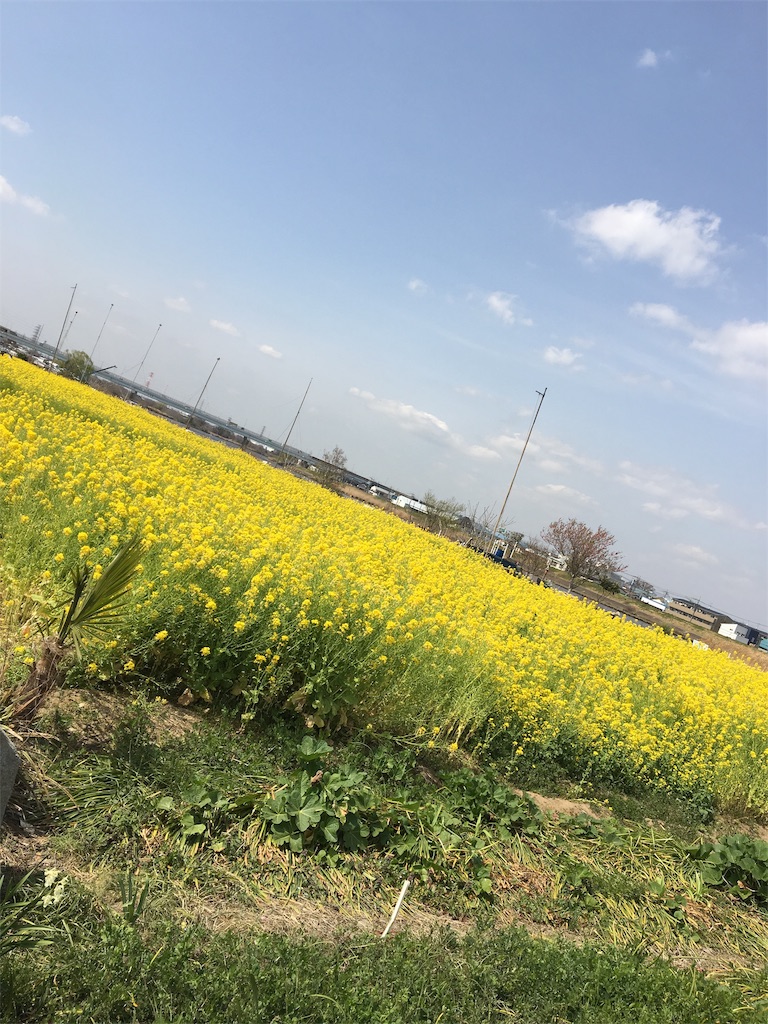 f:id:wpeisuke:20190326231949j:plain