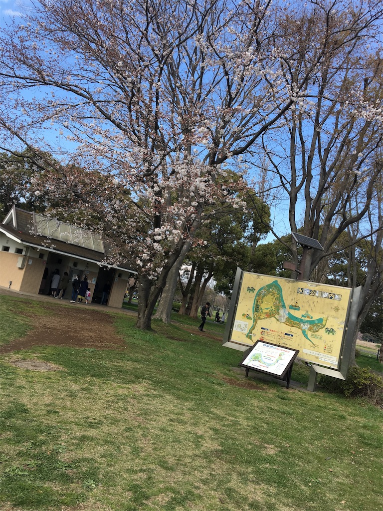 f:id:wpeisuke:20190404090749j:plain