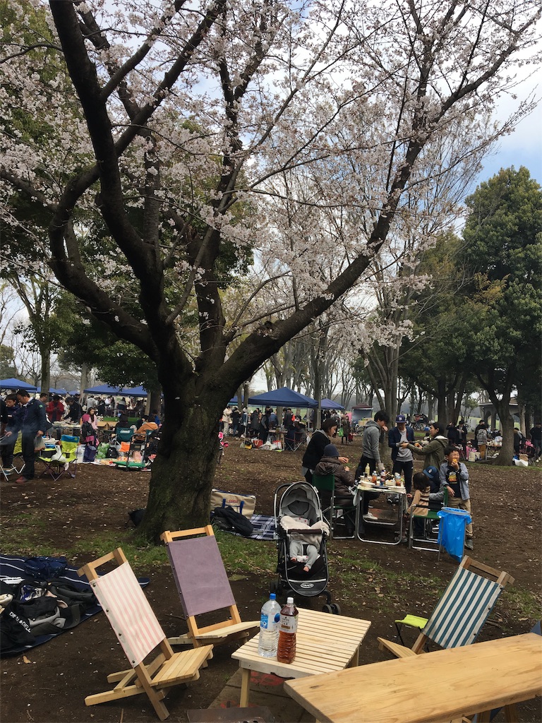 f:id:wpeisuke:20190404090816j:plain
