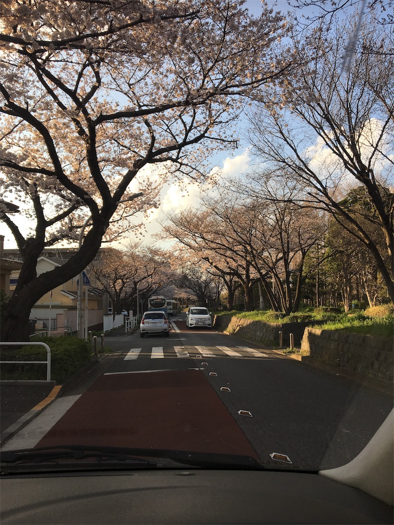 f:id:wpeisuke:20190404090823j:plain