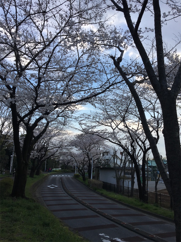 f:id:wpeisuke:20190404090829j:plain