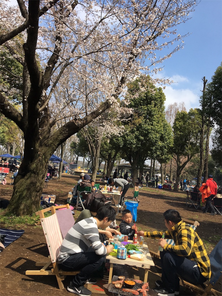 f:id:wpeisuke:20190404090910j:plain