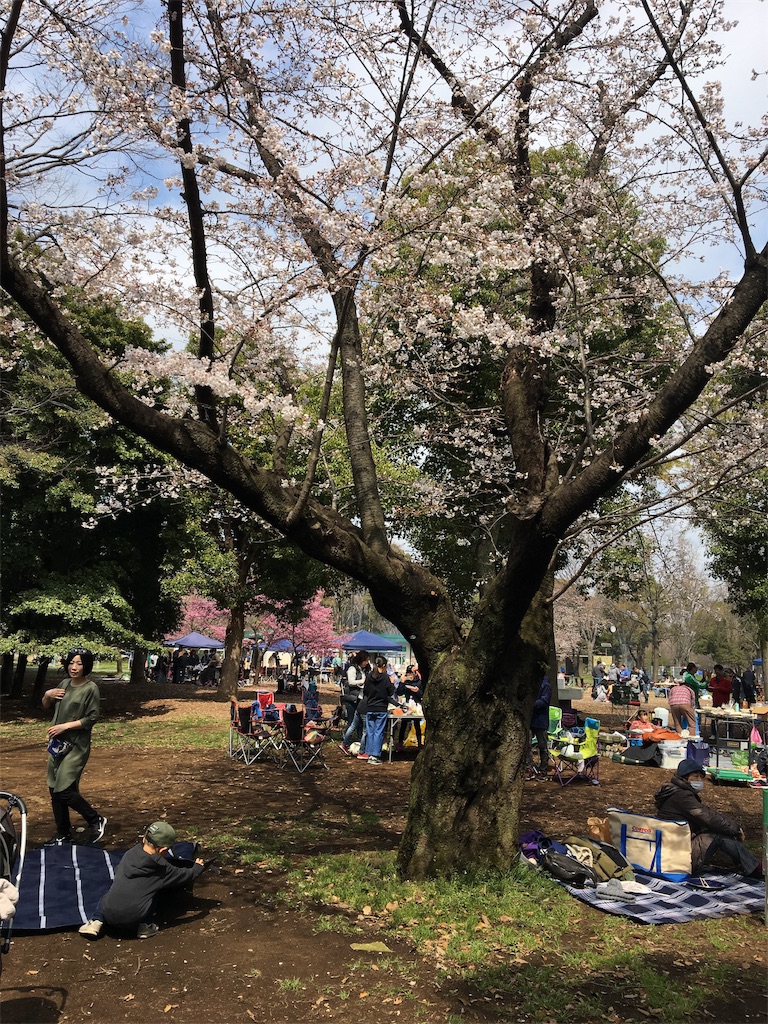 f:id:wpeisuke:20190404093438j:plain