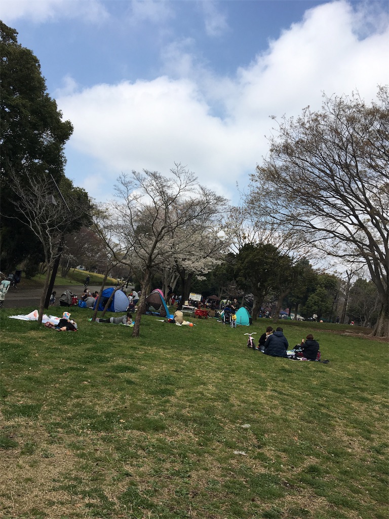 f:id:wpeisuke:20190404113815j:plain