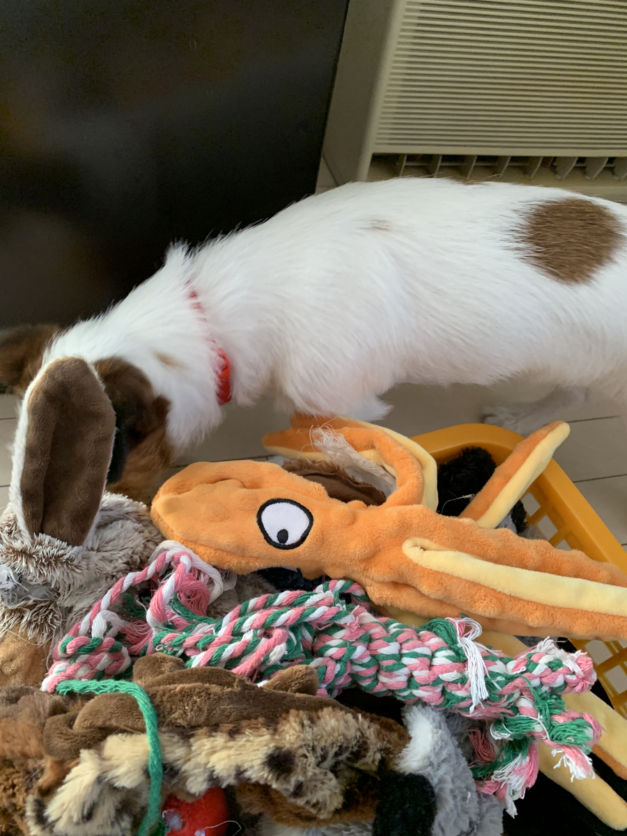 f:id:wretour:20210429054617j:plain