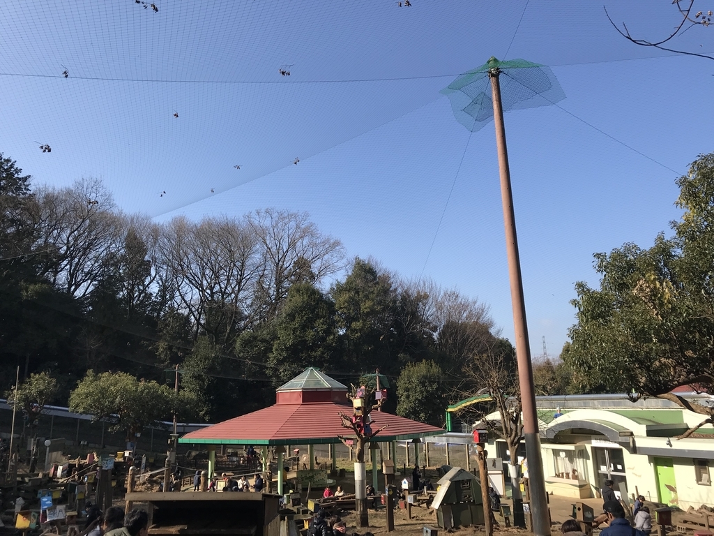 f:id:writerami:20190115110505j:plain f:id:writerami:20190115110505j:plain