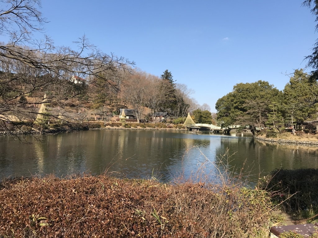 f:id:writerami:20190115111251j:plain f:id:writerami:20190115111251j:plain