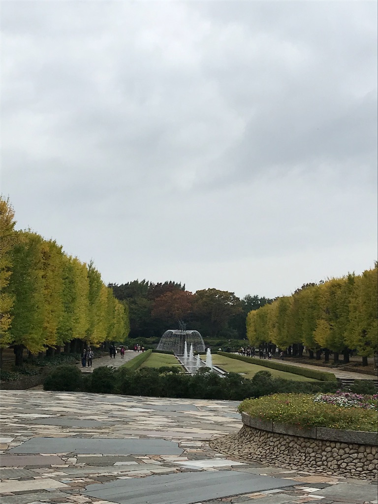 f:id:writerami:20191104121342j:image f:id:writerami:20191104121342j:image