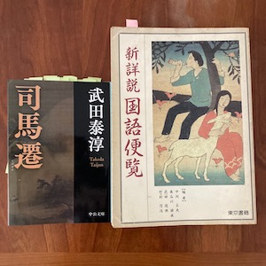 【中古】 新詳説国語便覧/東京書籍 新詳説 国語便覧(中洌正堯 [ほか] 編) / 古本、中古本、古書籍の