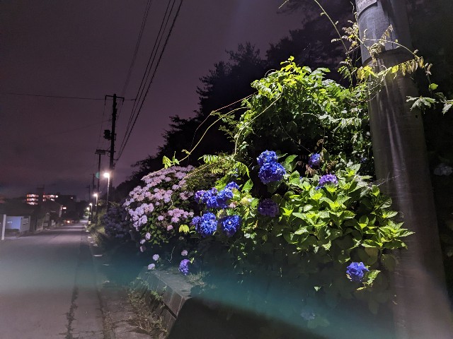 f:id:written3_tara_4:20220707230202j:image f:id:written3_tara_4:20220707230202j:image