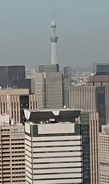 f:id:wrongwrongwrongwrong163377:20180826072305p:plain f:id:wrongwrongwrongwrong163377:20180826072305p:plain