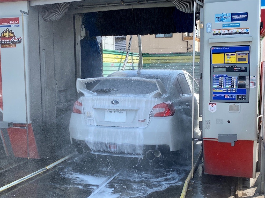 白豚饅頭日記 白豚饅頭日記