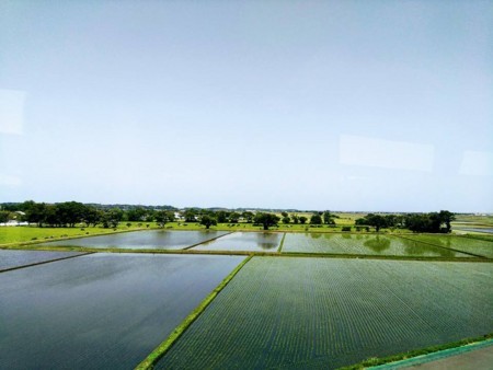 f:id:wsaito:20180531171828j:image