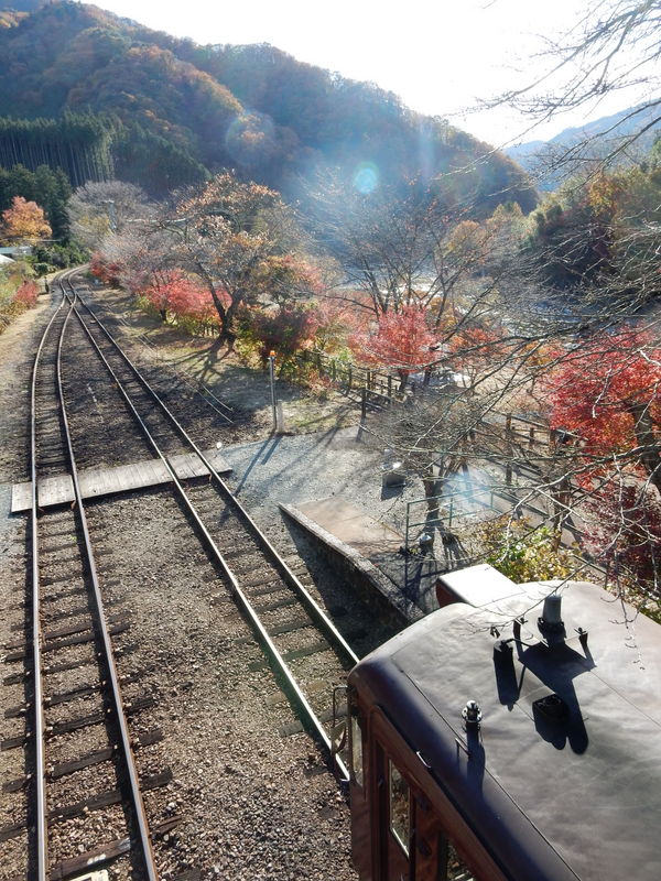 f:id:wsbkm777:20141114141345j:image:w360 f:id:wsbkm777:20141114141345j:image:w360