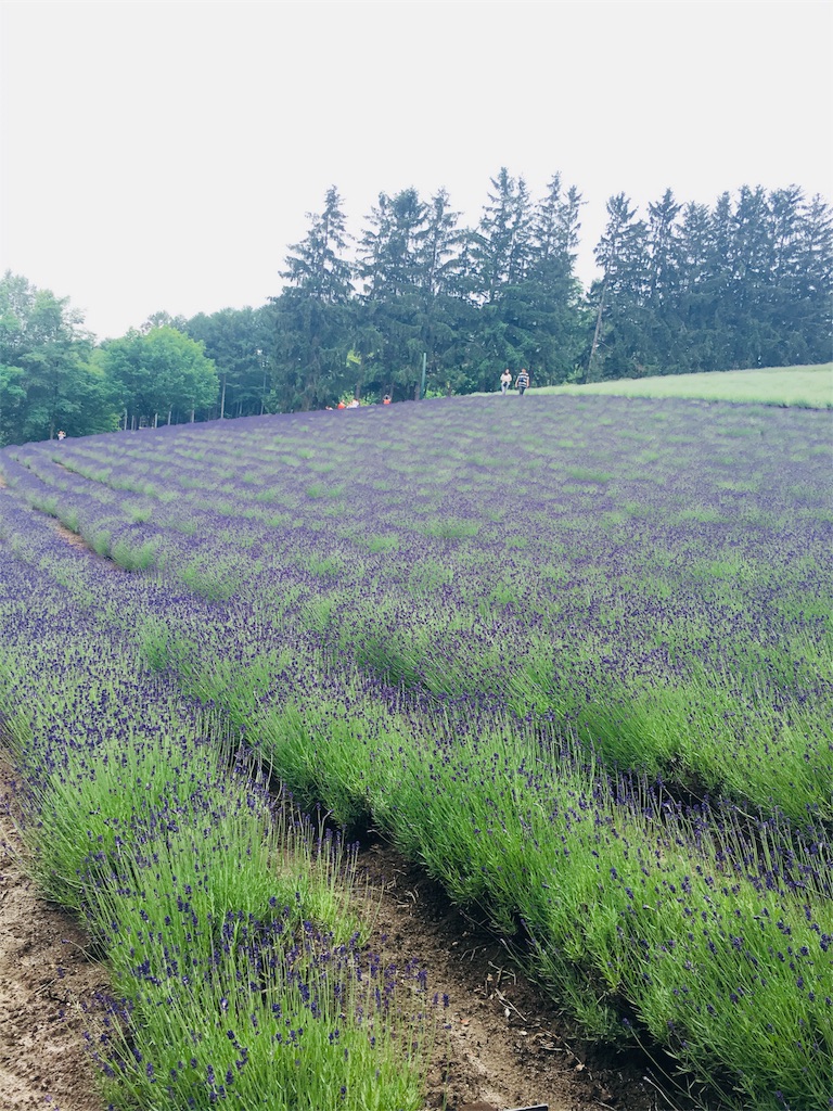 f:id:wsmnrn:20180727113747j:plain f:id:wsmnrn:20180727113747j:plain