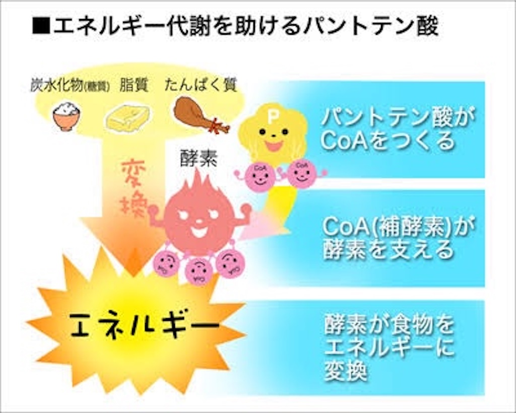 f:id:wtcoys12:20201005133349j:image
