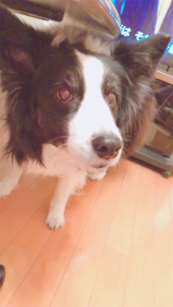 f:id:wtrya30:20190103091042j:image