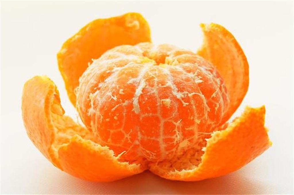 f:id:wu_tang_yt:20200330041153j:image f:id:wu_tang_yt:20200330041153j:image