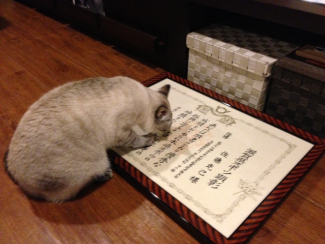 イメージ 8