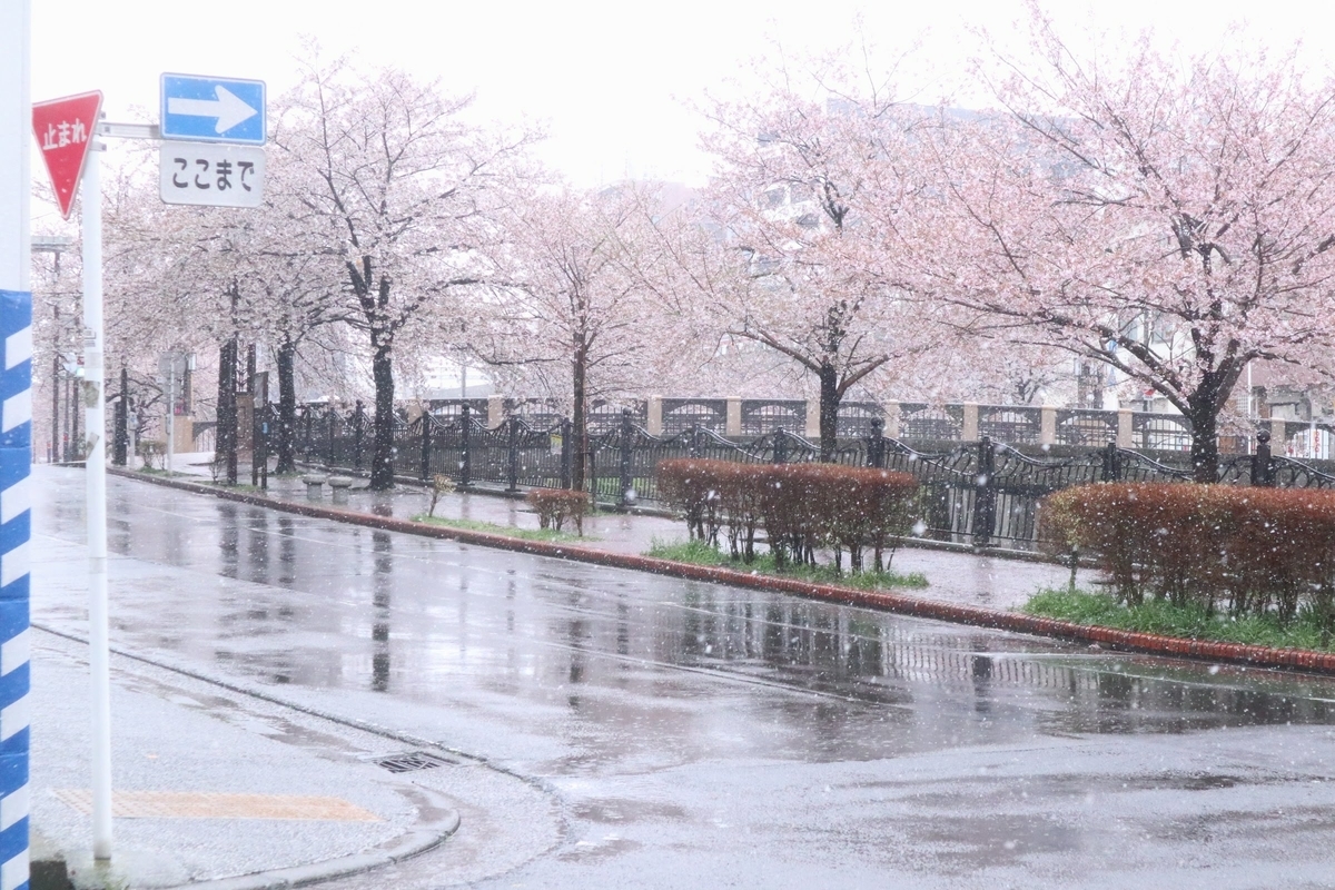 f:id:wuzuki:20201218012227j:plain