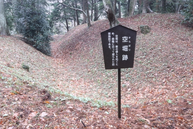 f:id:wuzuki:20210531220204j:plain