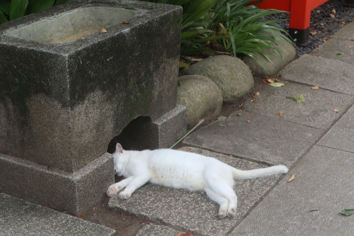 f:id:wuzuki:20211206234646j:plain