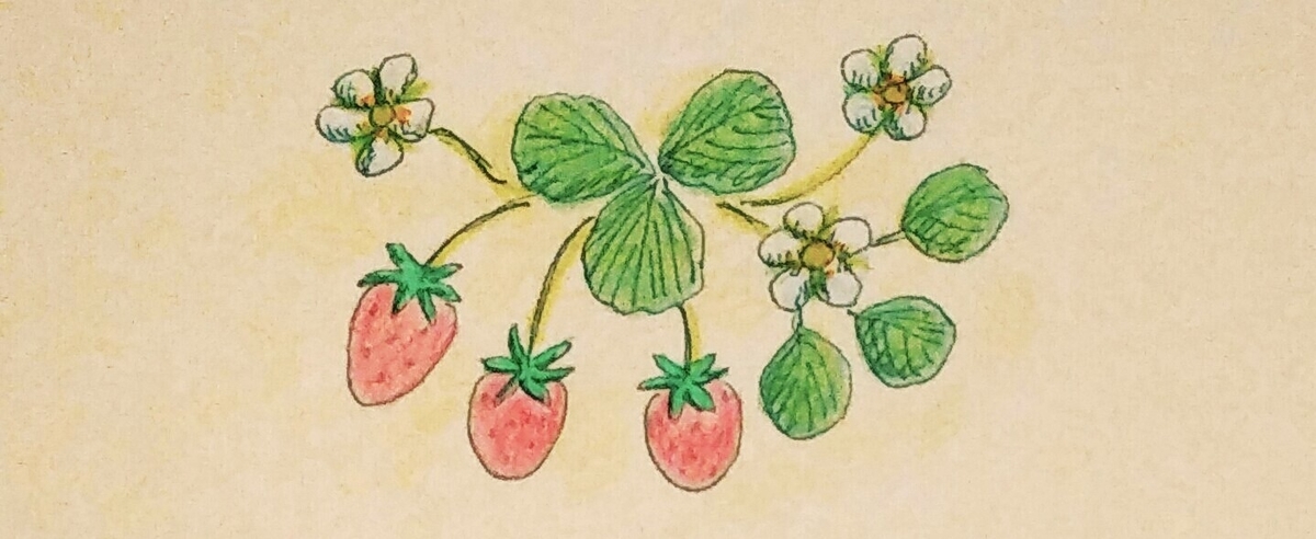f:id:ww77natsuno:20210110191823j:plain