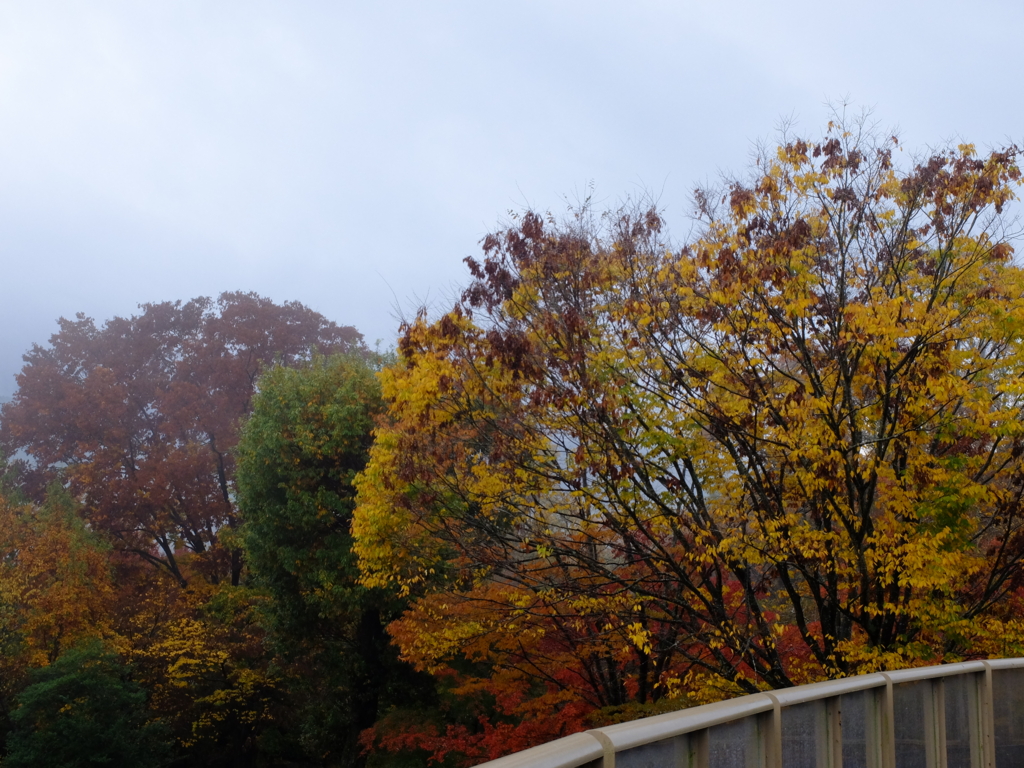 f:id:wwater:20161121114039j:plain