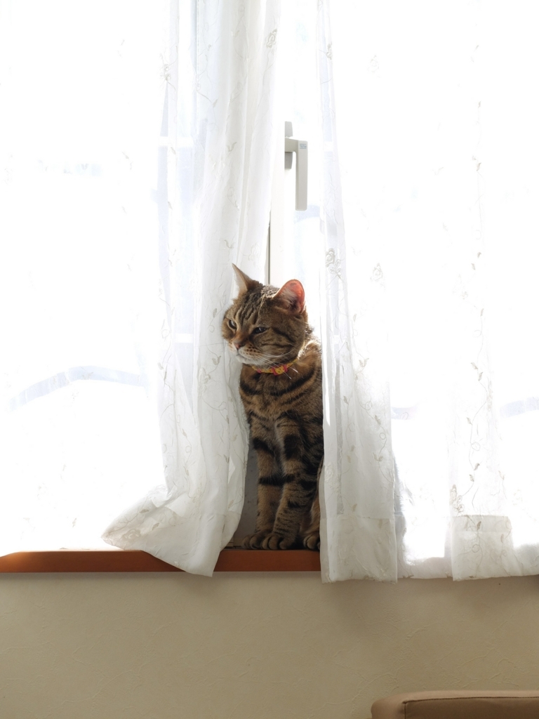 f:id:wwater:20180107152147j:plain