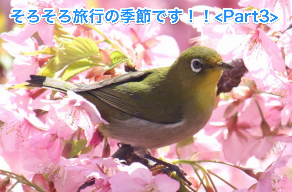 f:id:wwman:20170308132507j:plain f:id:wwman:20170308132507j:plain