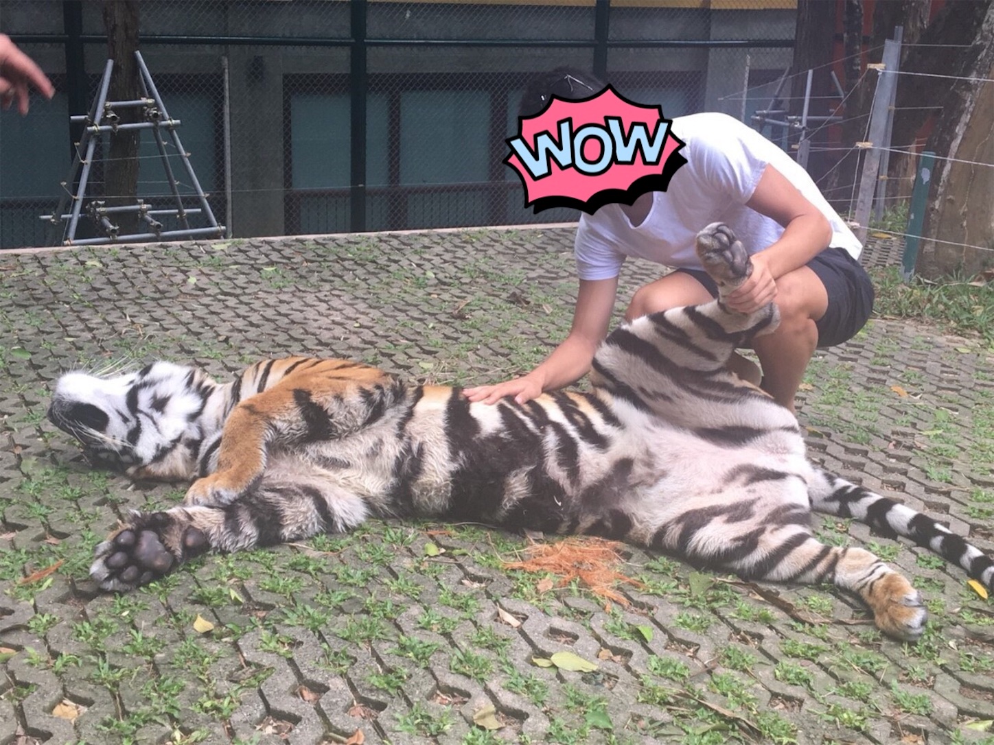 f:id:www-riku0727:20190525133131j:image f:id:www-riku0727:20190525133131j:image