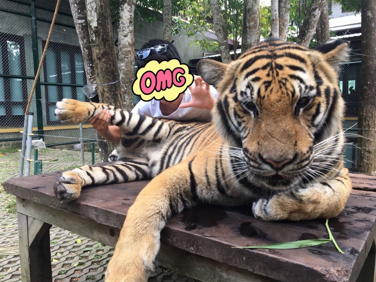 f:id:www-riku0727:20190525133151j:image f:id:www-riku0727:20190525133151j:image