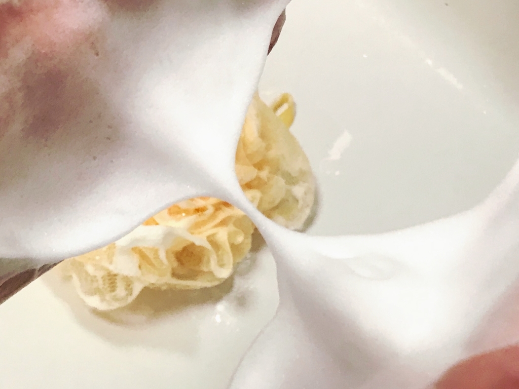 本物 ダイソーにフランス製のマルセイユ石鹸が登場 全種類徹底レビュー 100均 平成生まれももうアラサー