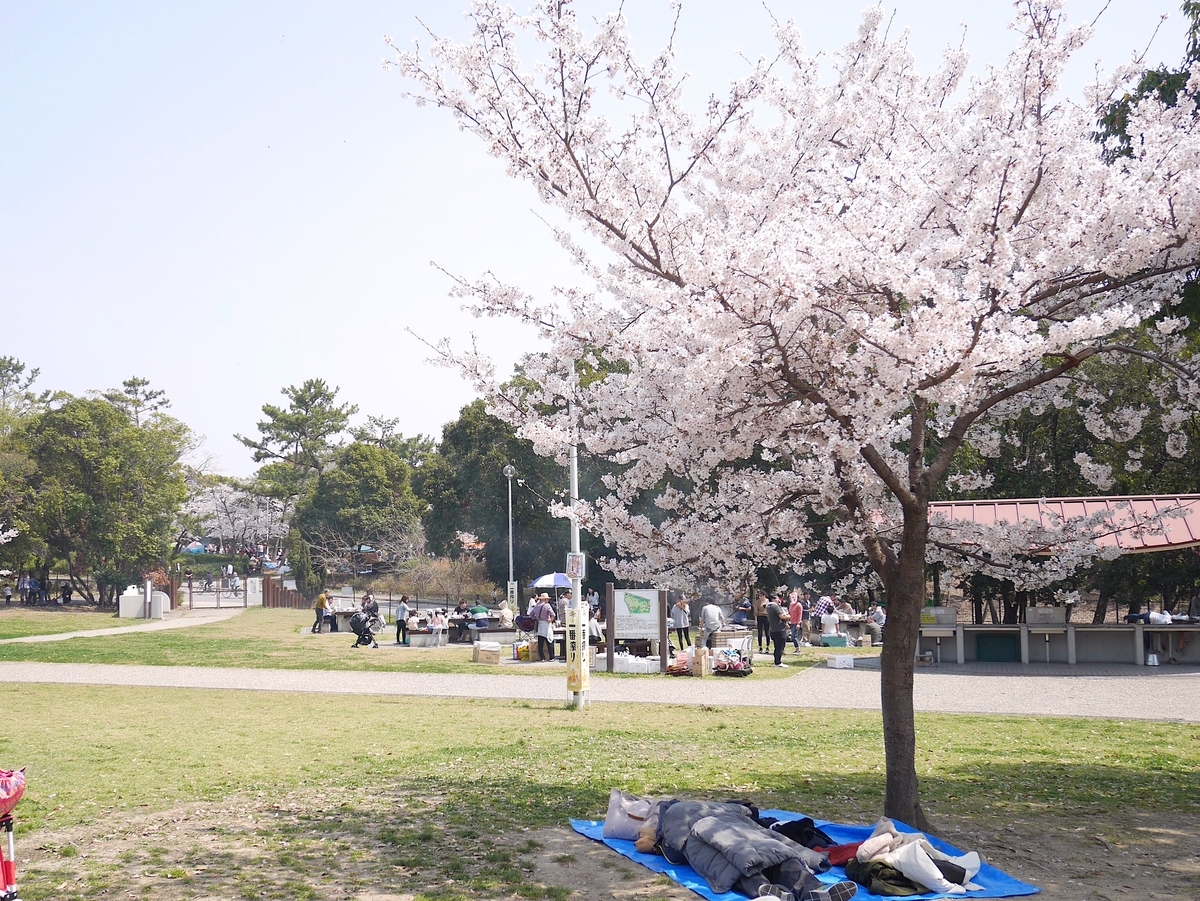 大阪 服部緑地公園でお花見バーベキューしてきた バンドマン 平成生まれももうアラサー 大阪 服部緑地公園でお花見バーベキューしてきた バンドマン 平成生まれももうアラサー