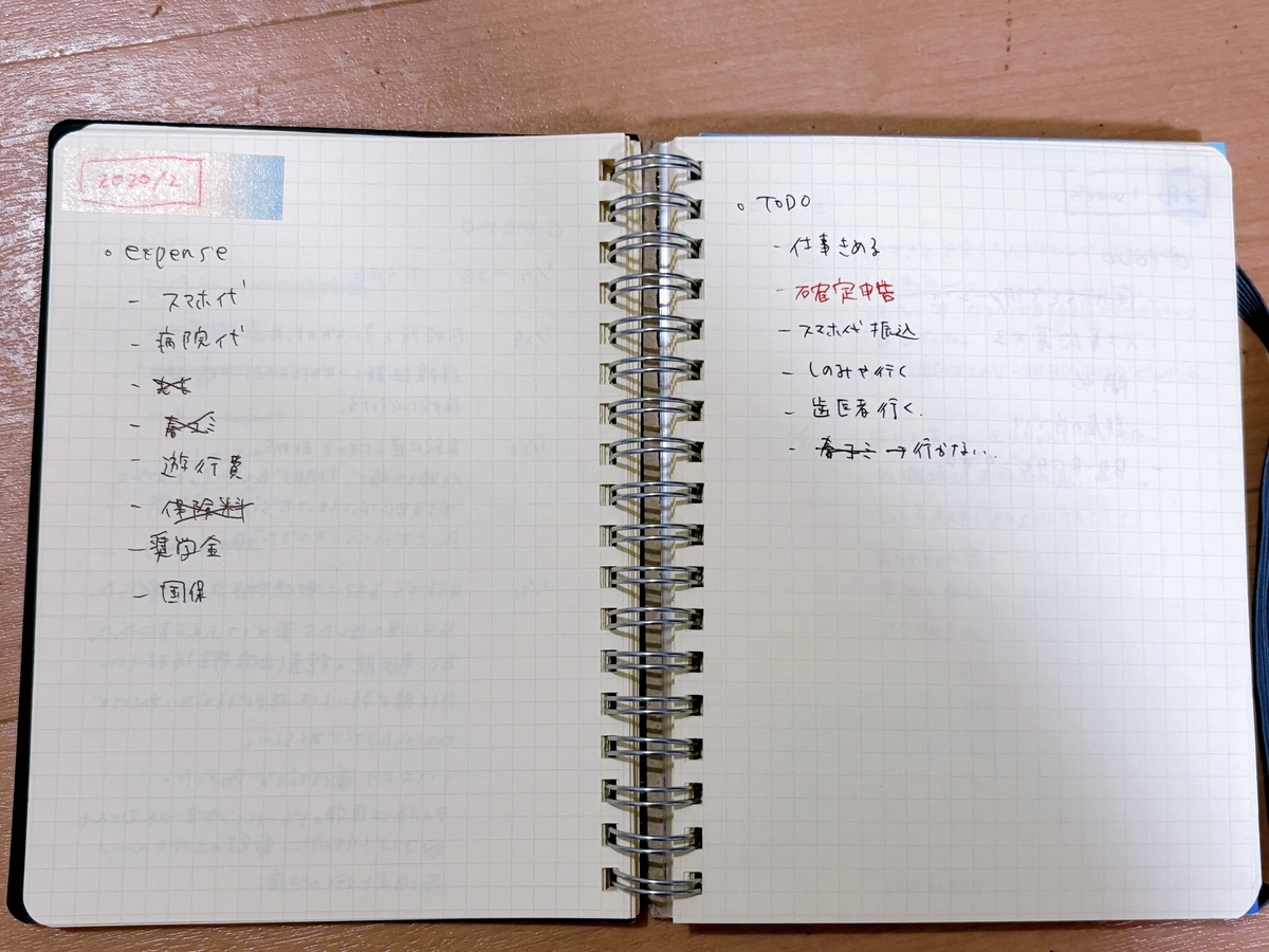 始めた頃の日記。