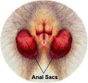 f:id:wwwhite10:20160404233439j:plain f:id:wwwhite10:20160404233439j:plain