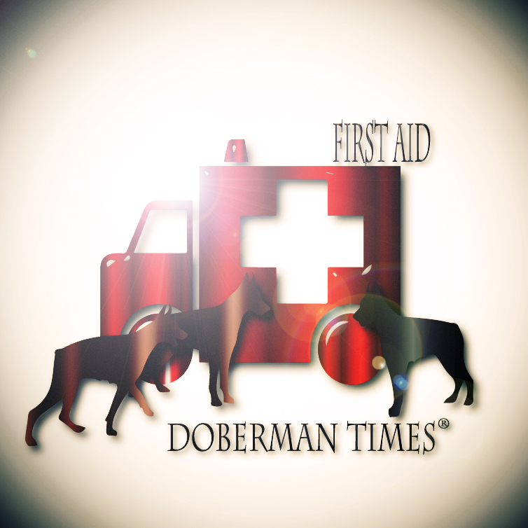 f:id:wwwhite10:20160407161737j:plain