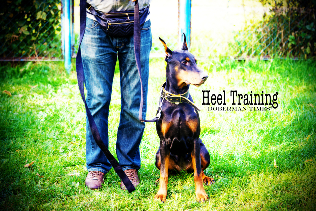 f:id:wwwhite10:20160430143604j:plain f:id:wwwhite10:20160430143604j:plain