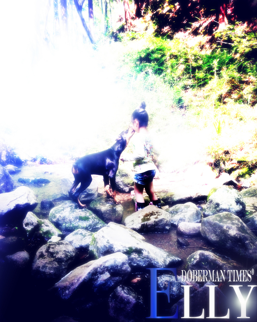 f:id:wwwhite10:20160510223151j:plain