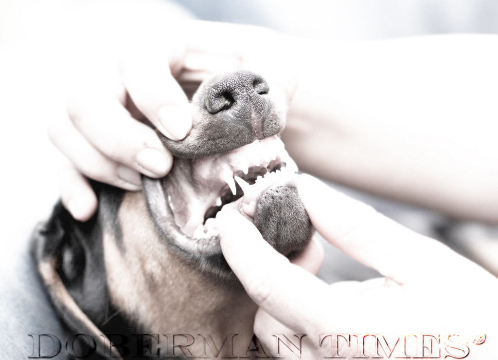 f:id:wwwhite10:20160625000918j:plain