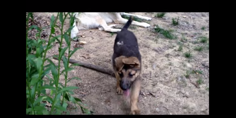 f:id:wwwhite10:20160829230338p:plain